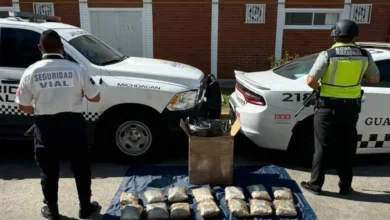 Decomisaron 10 kilos de droga en una paquetería de Uruapan