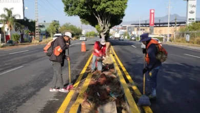 Brigadas de Morelia intervienen camellones del Libramiento Sur