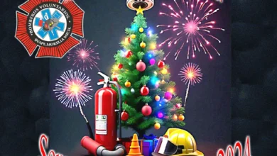 Dan consejos para no tener accidentes con el árbol de Navidad