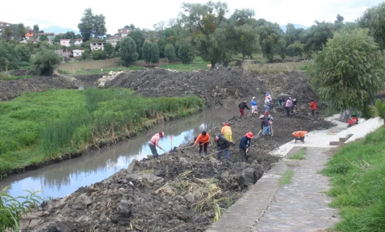 Garantizado en 2025 empleo temporal para rescate del lago de Pátzcuaro