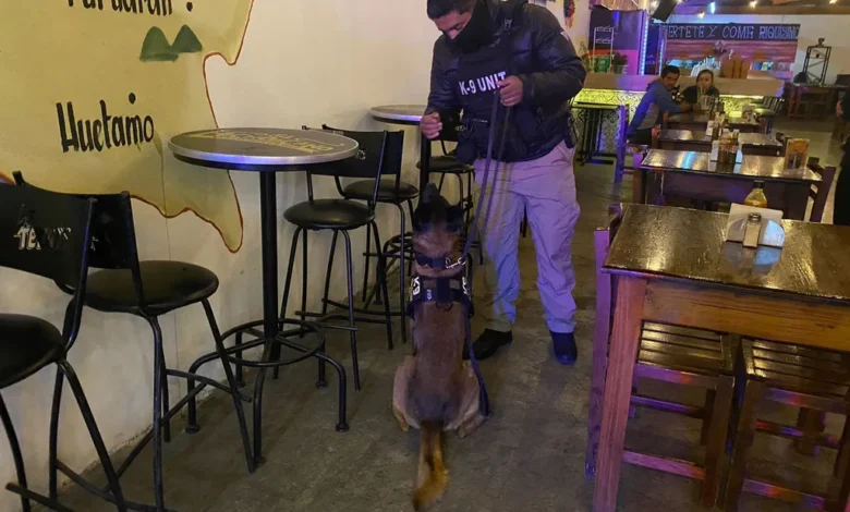 Hallan droga en cateo a un bar de Morelia