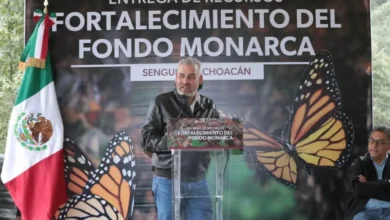 Michoacán celebra que EU asuma responsabilidad del cuidado de la Monarca