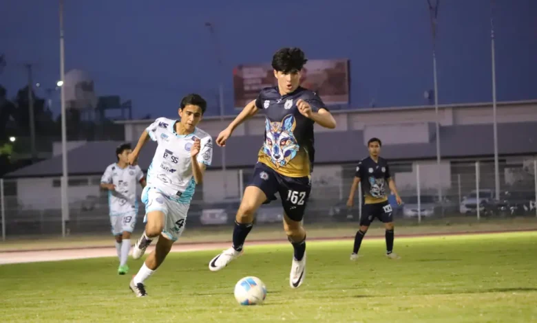 Zorros de la UMSNH, en el Top 10 de equipos más goleadores a nivel nacional de la Liga TDP
