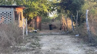 Tras varios días, encuentran a un sujeto que al parecer se suicidó