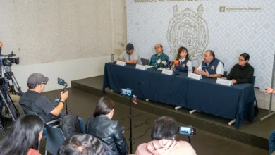 Investigadores universitarios trabajan en la conservación de la mariposa Monarca