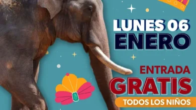 Ver más información del Gobierno Síguenos en: Facebook/NoticiasEnSintesis Twitter@NsintesisMich