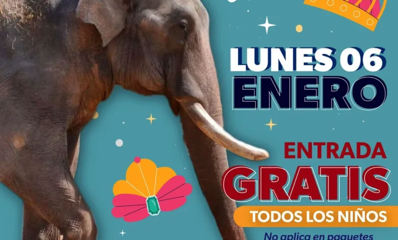 Ver más información del Gobierno Síguenos en: Facebook/NoticiasEnSintesis Twitter@NsintesisMich
