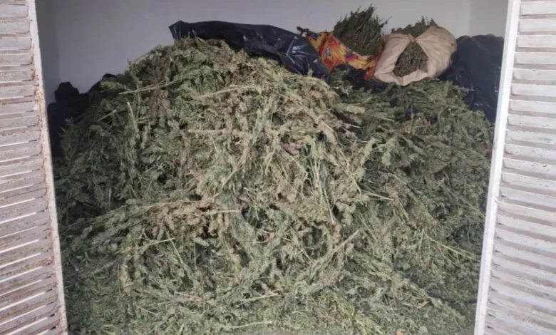 mariguana