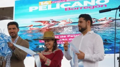 Octavio Ocampo celebra la biodiversidad de Michoacán en el 14º Festival Biocultural del Pelícano Borregón
