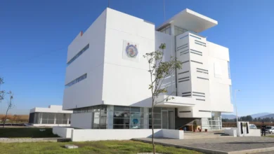 umsnh