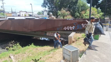 limpieza morelia